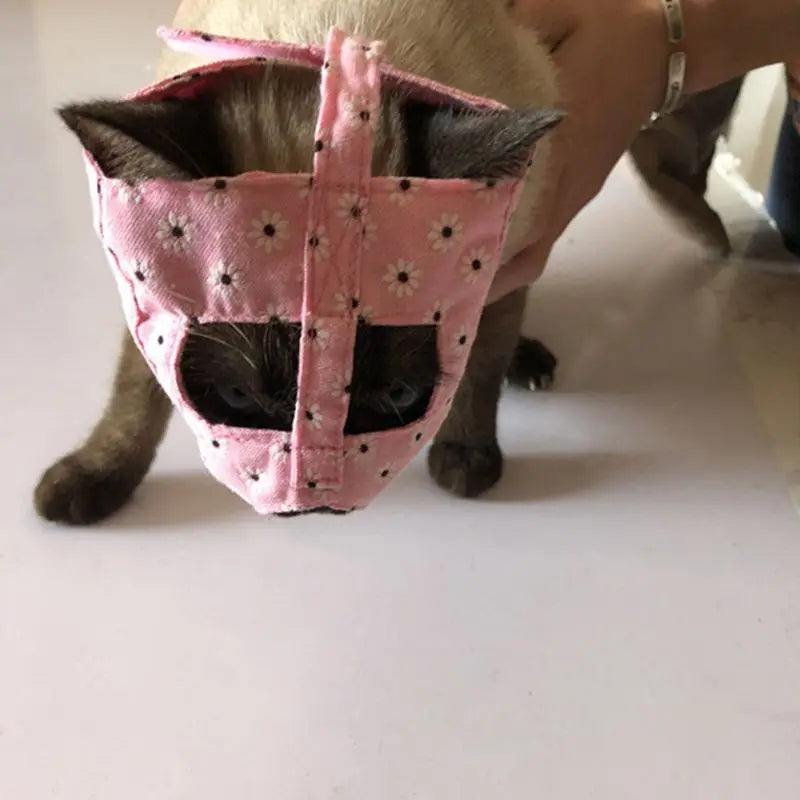 Muselière Design pour Chat