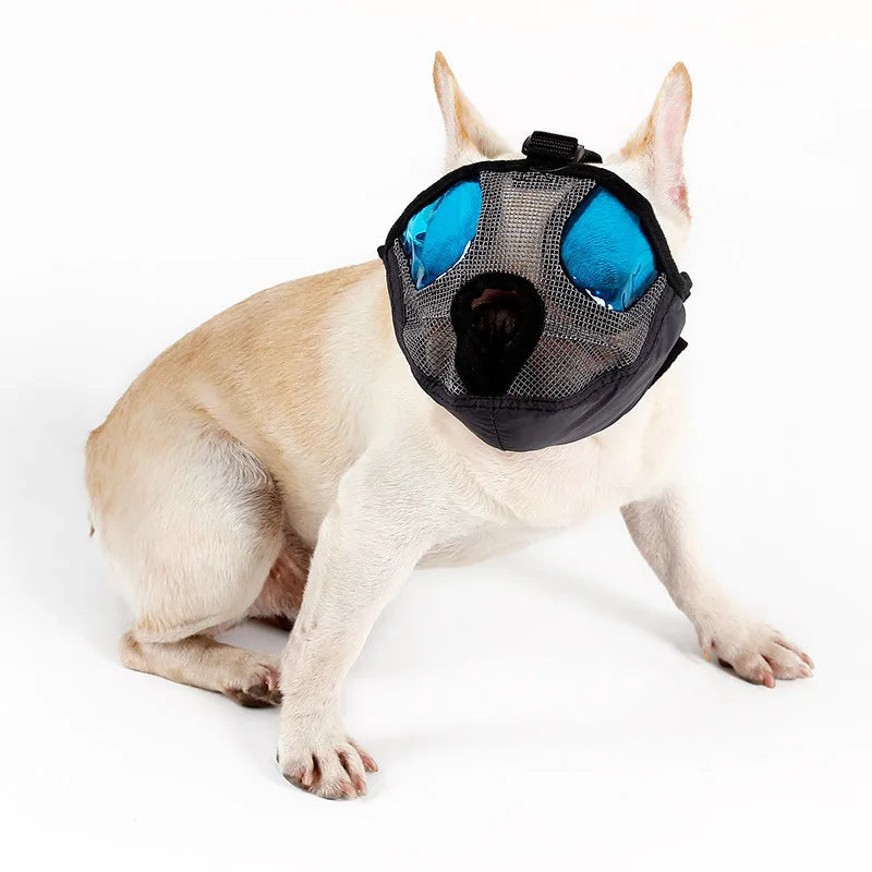 Muselière à Lunettes pour Chiens