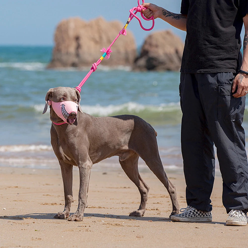 Muselière Design pour chien