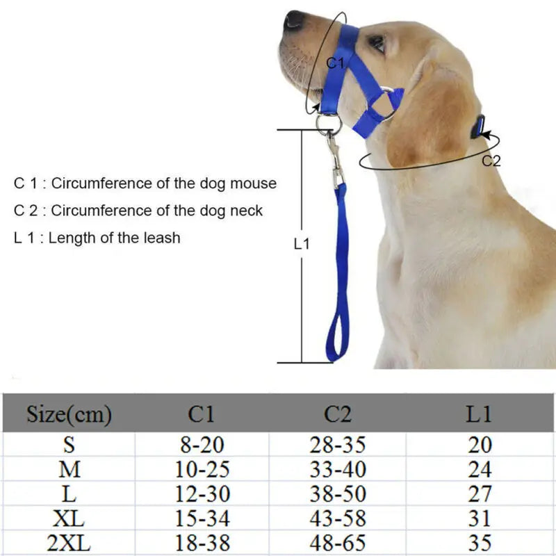 Laisse Muselière Guide Taille