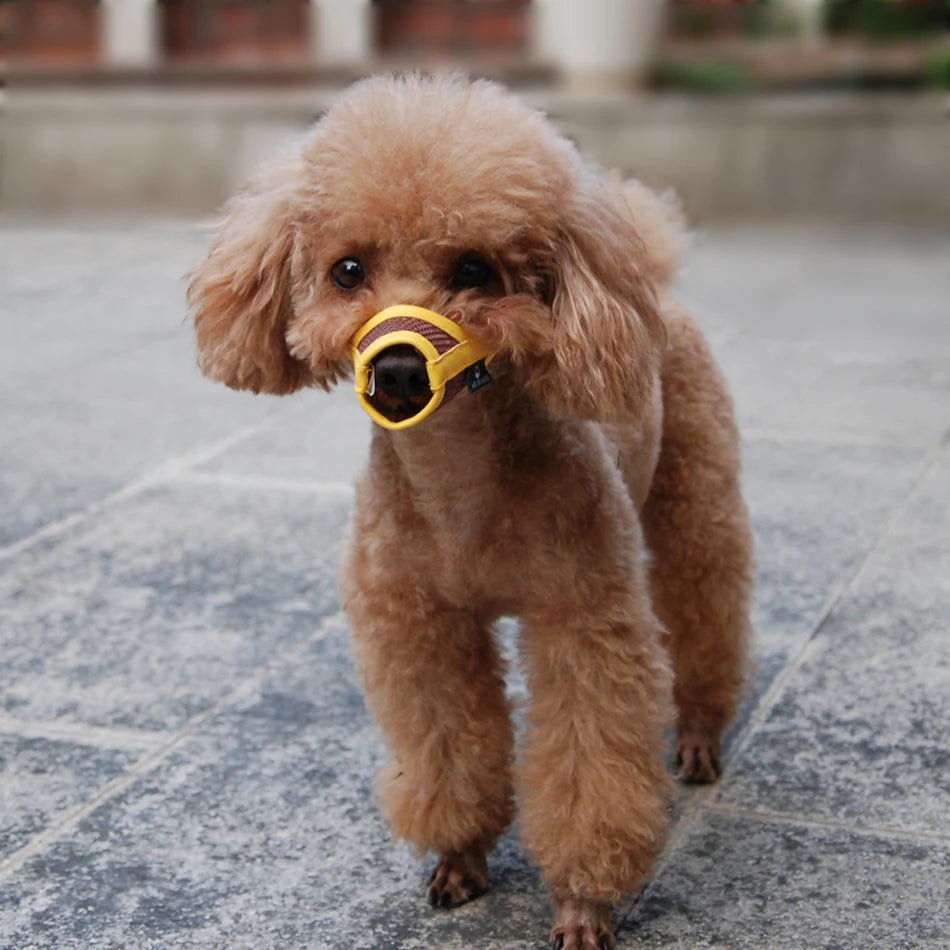 Muselière en Nylon pour Chiot