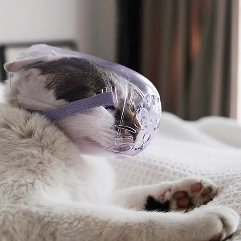 Muselière en Plastique pour Chat