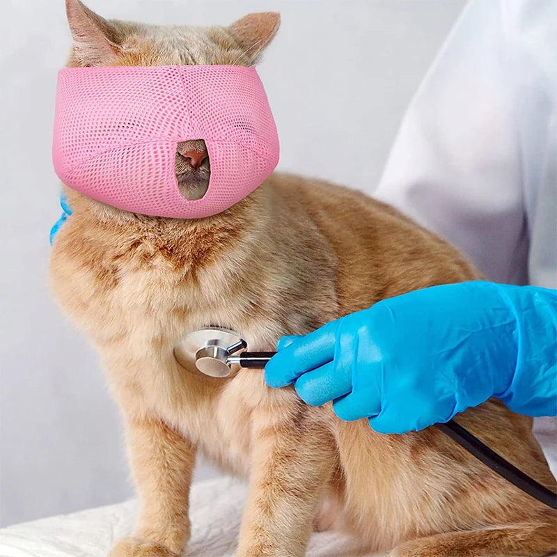 Muselière élastique pour Chat